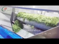 缶詰の豆の生産ラインは どうやって缶詰の豆を生産するのか?