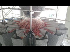 牛肉の真空包装機械の設備