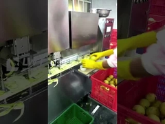 リードワールド 果物缶詰生産ライン 缶詰梨加工ライン